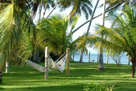 Patachocas Eco Resort no Morro de S&atilde;o Paulo Rede