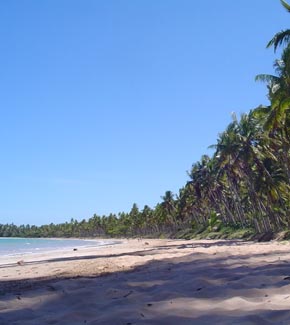 praia Garapua